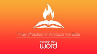 Bible Intro | 7 Key (videos by Through the Word)
