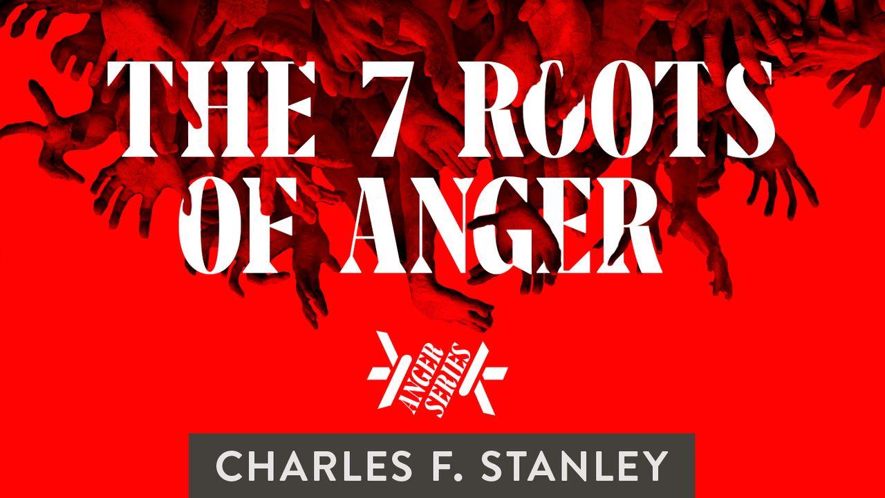 The 7 Roots Of Anger