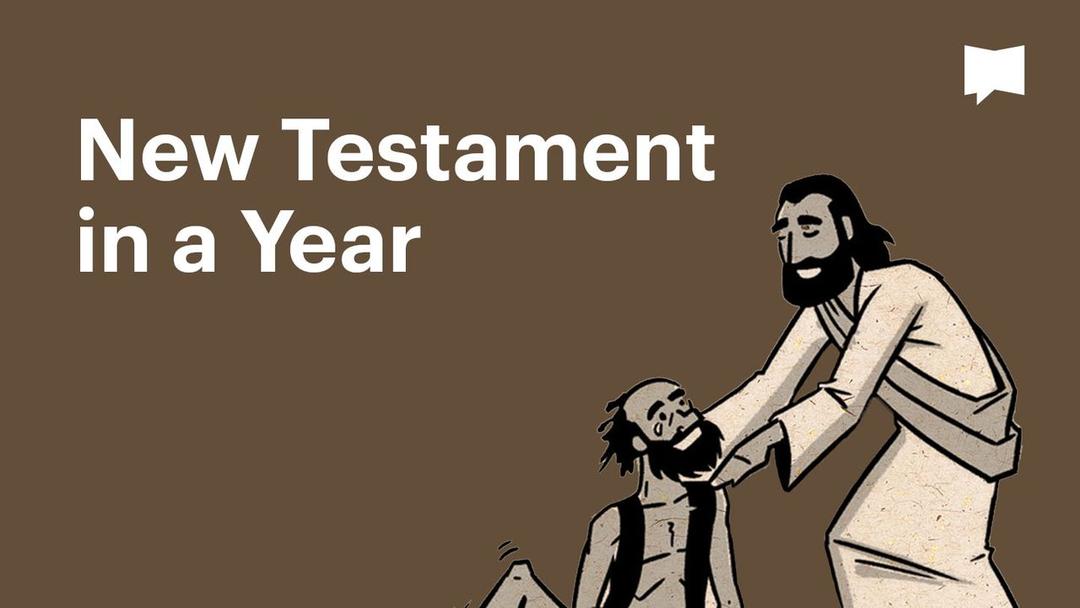 Bibleproject new testament in one year the bible app bible