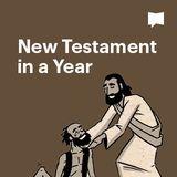 BibleProject | New Testament In One Year