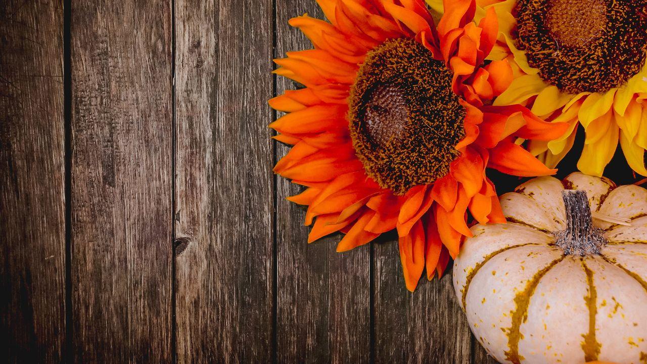 Tranquil Meditations for Thanksgiving 