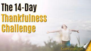 The 14-Day Thankfulness Challenge