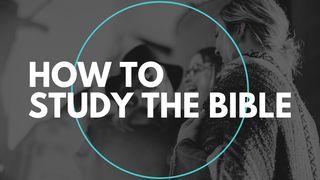 How To Study The Bible (Foundations)