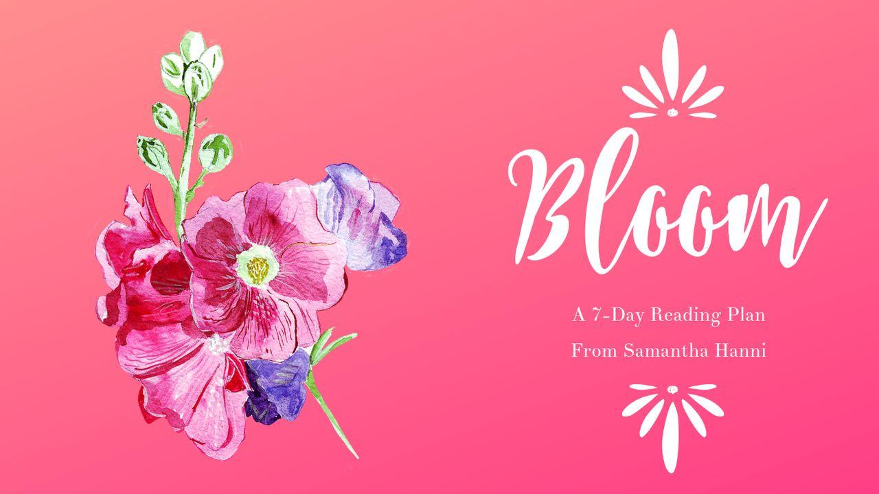 Bloom: Fresh Devotionals For Girls