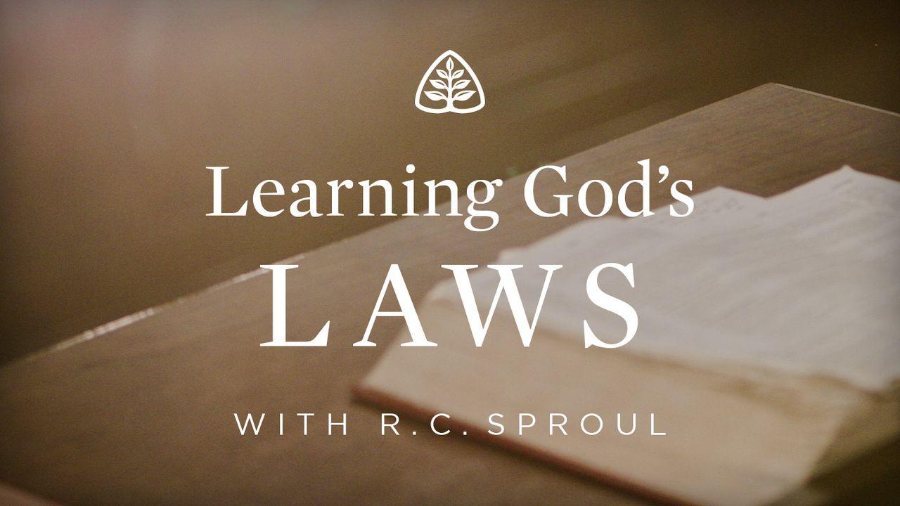 Learning God's Laws