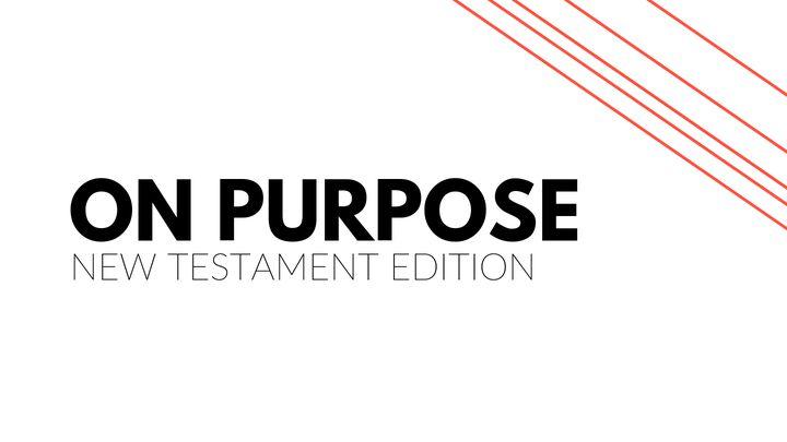 The New Testament On Purpose