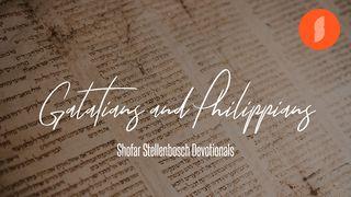 Shofar Stellenbosch | Galatians And Philippians