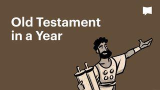 BibleProject | Old Testament In a Year