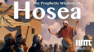 The Prophetic Wisdom Of Hosea Hosea 6:6 New American Standard Bible - NASB 1995