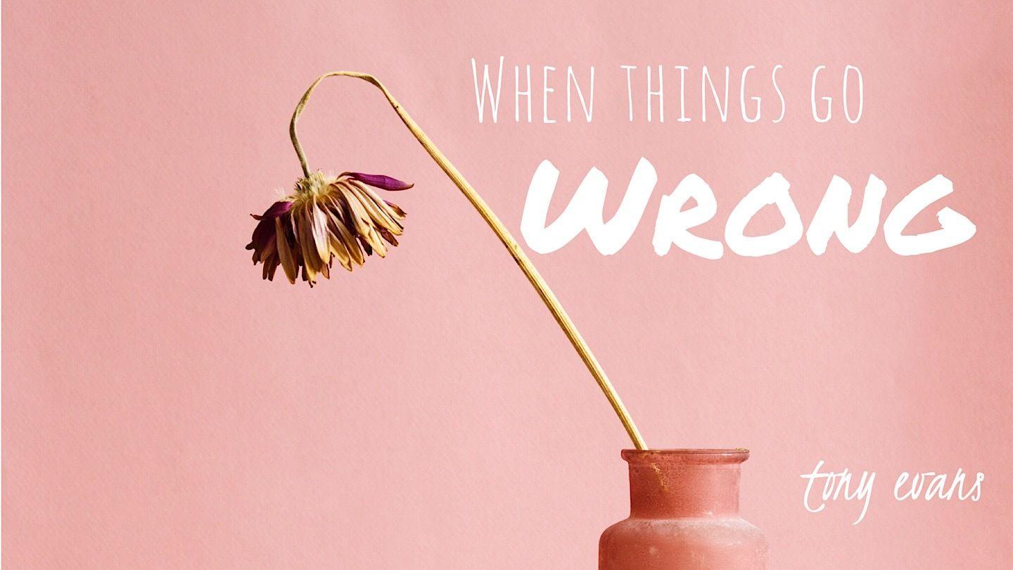 When Things Go Wrong Ephesians 2:8-17 English Standard Version Revision 2016