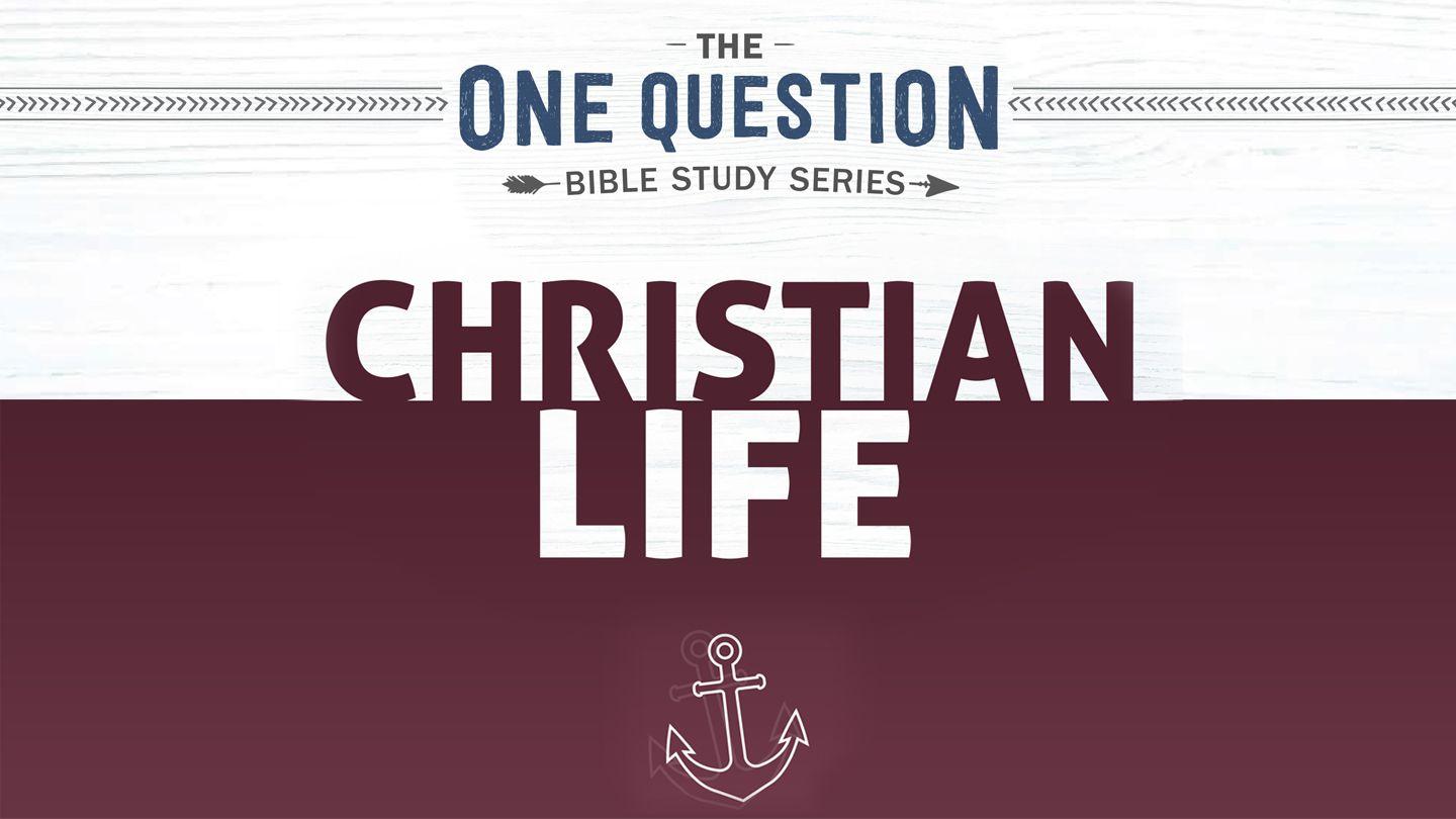One Question Bible Study: Christian Life Luke 12:25 King James Version