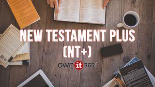 OWNit365 New Testament (NT)+ Plan