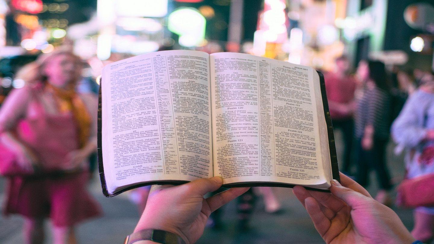Profiles In Leadership Numbers 14:6 Amplified Bible