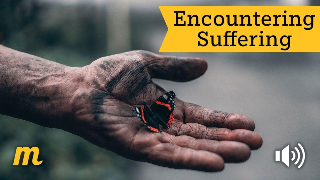 Encountering Suffering