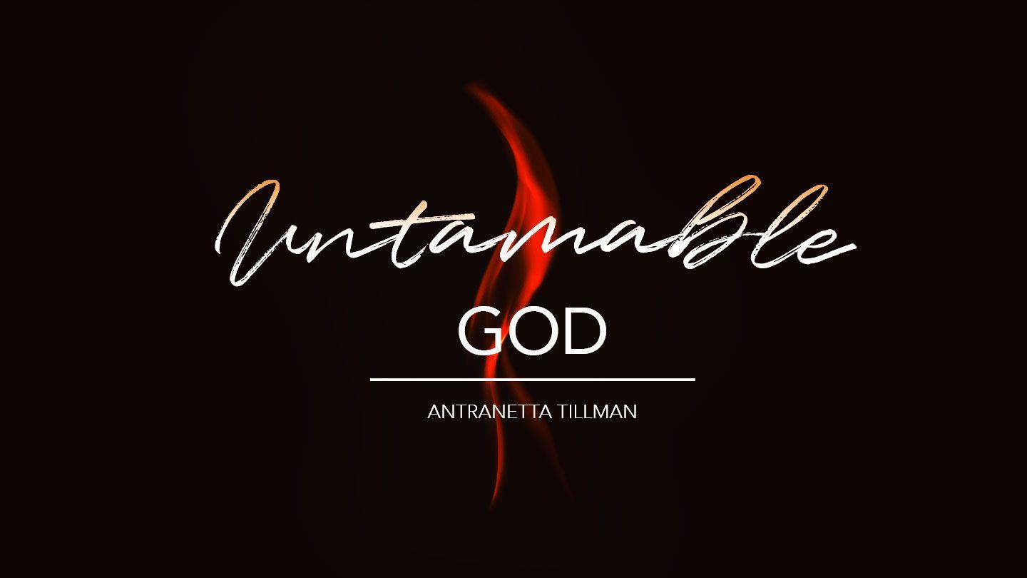 Untamable God  1 John 4:8-16 King James Version