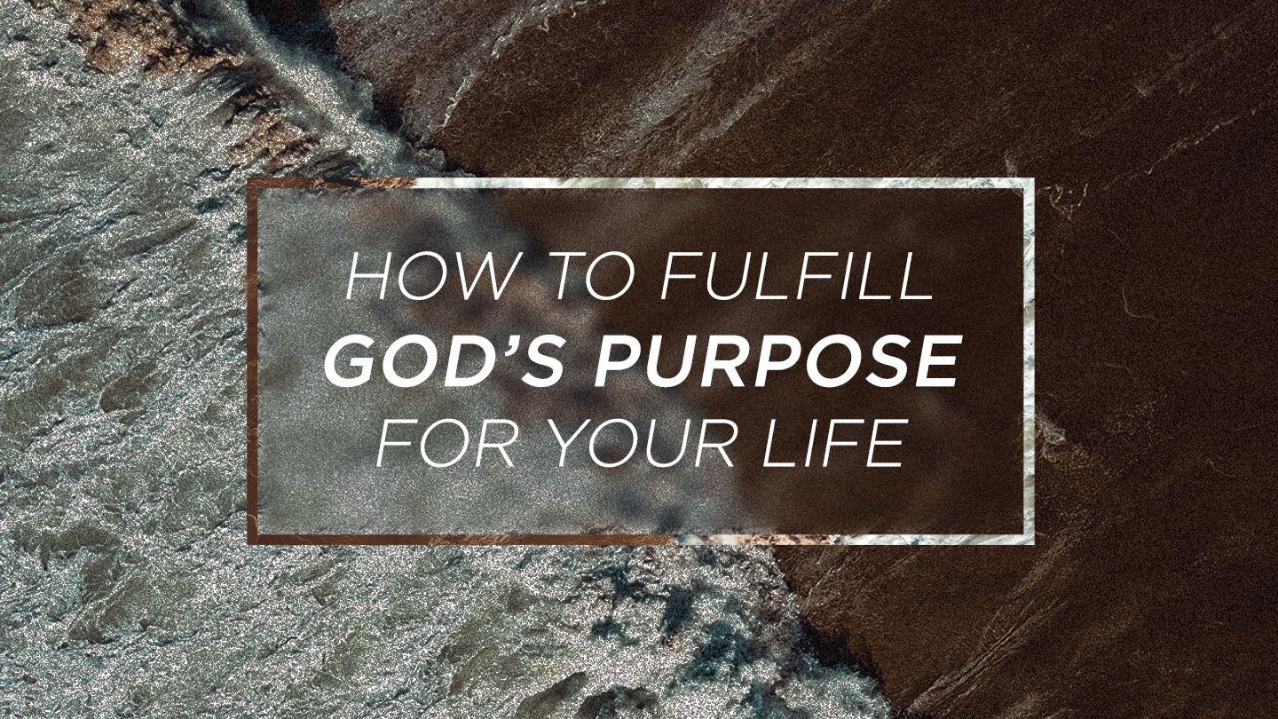 How To Fulfill God's Purpose For Your Life Deuteronomy 23:5 Contemporary English Version