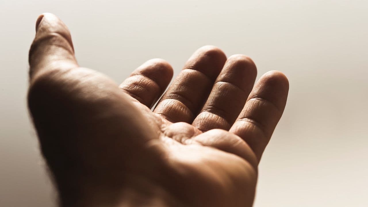 2015 Belmont University Lenten Guide