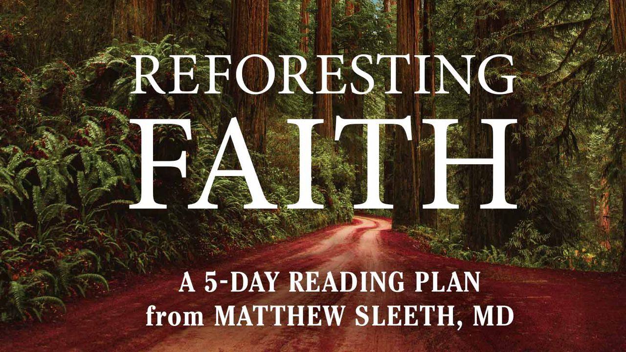 Reforesting Faith