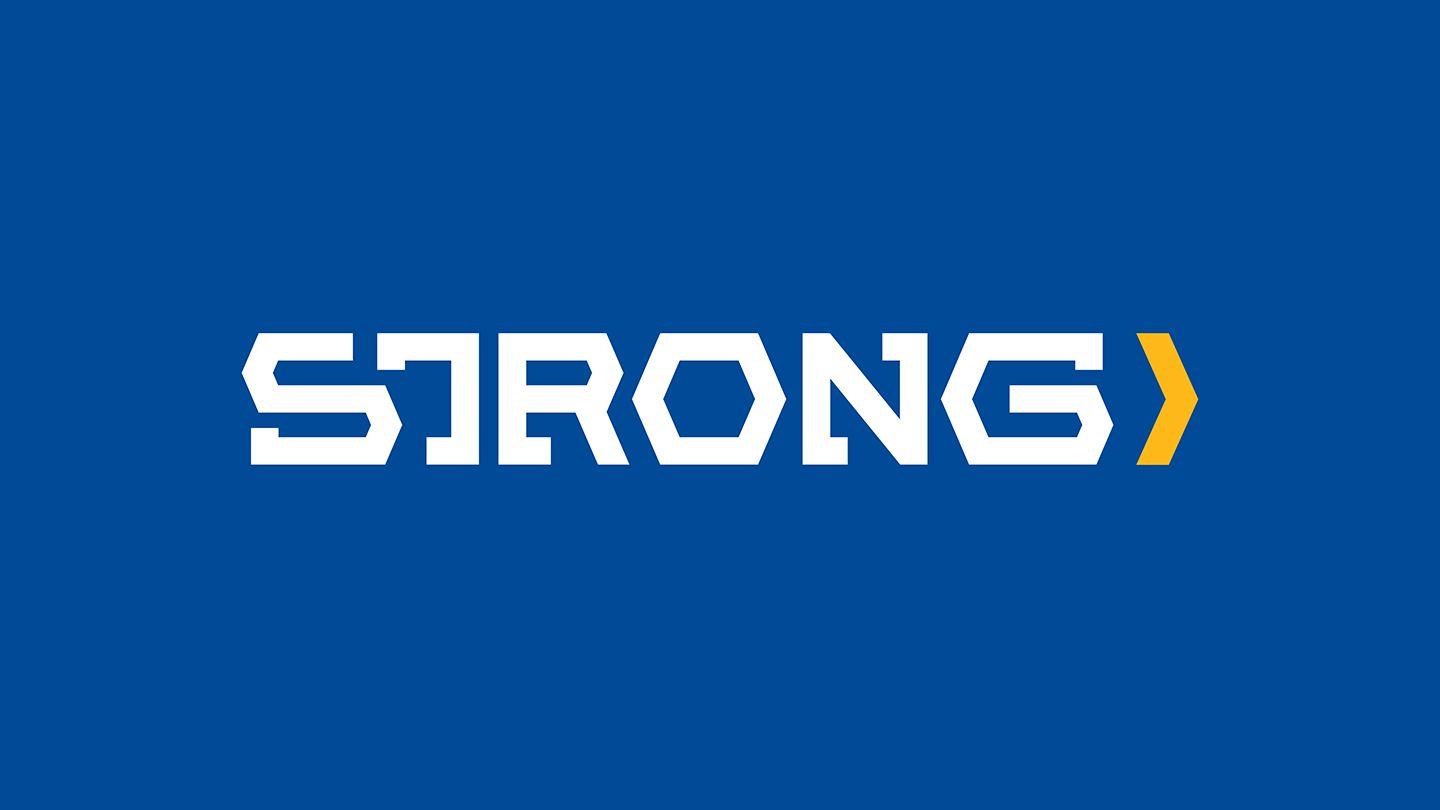 Strong 40天灵修