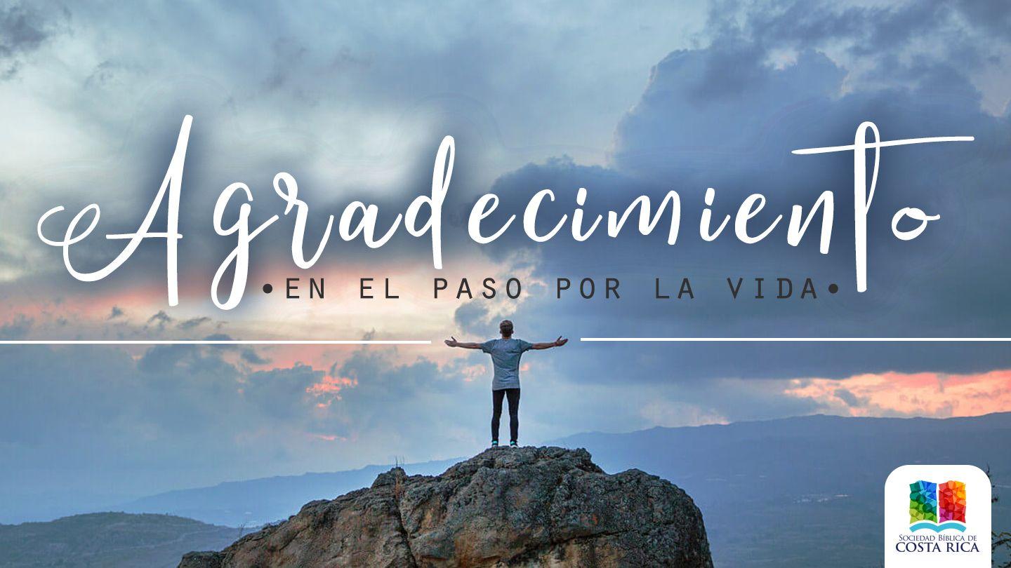 Agradecimiento Salmos 103:8-18 Nueva Traducción Viviente