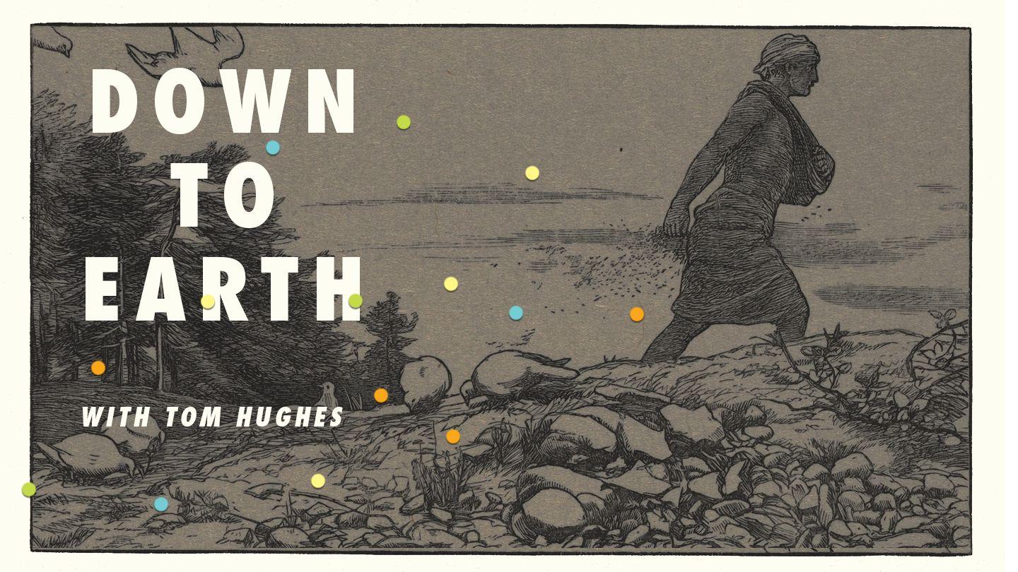 Down To Earth: Living Out The Parables Of Jesus Luka 16:11-12 Minar Poelayzimayl