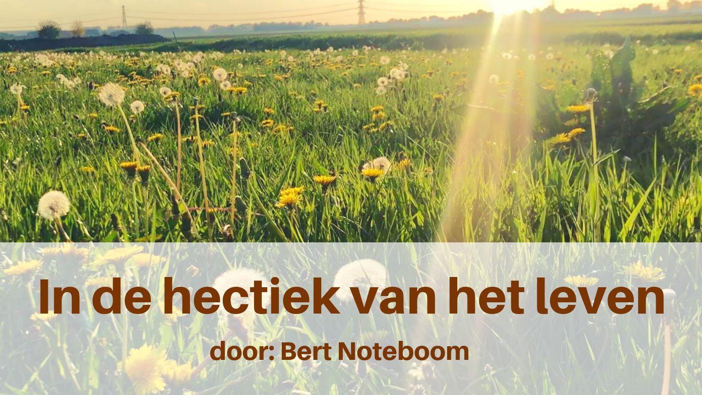 In de hectiek van het leven Mɑtʉ̈ɔ 6:34 Kɑɑ Fí