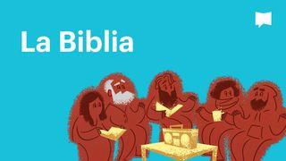 Proyecto Biblia | La Biblia