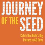 Journey Of The Seed - Catch The Bible's Big Picture In 60 Days