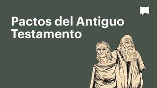 Proyecto Biblia | Pactos del Antiguo Testamento