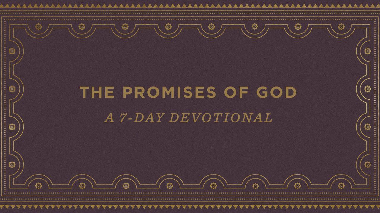 The Promises of God: A 7-Day Devotional