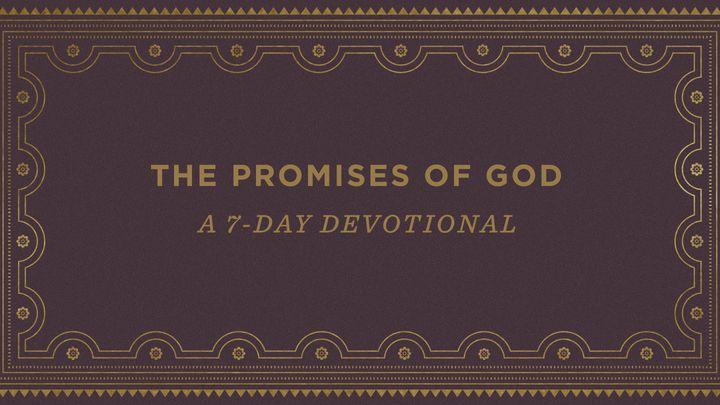 The Promises of God: A 7-Day Devotional