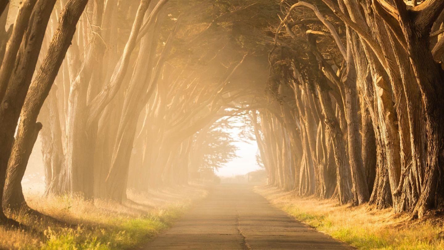 The Pathway to God Matthew 6:33 New International Version (Anglicised)