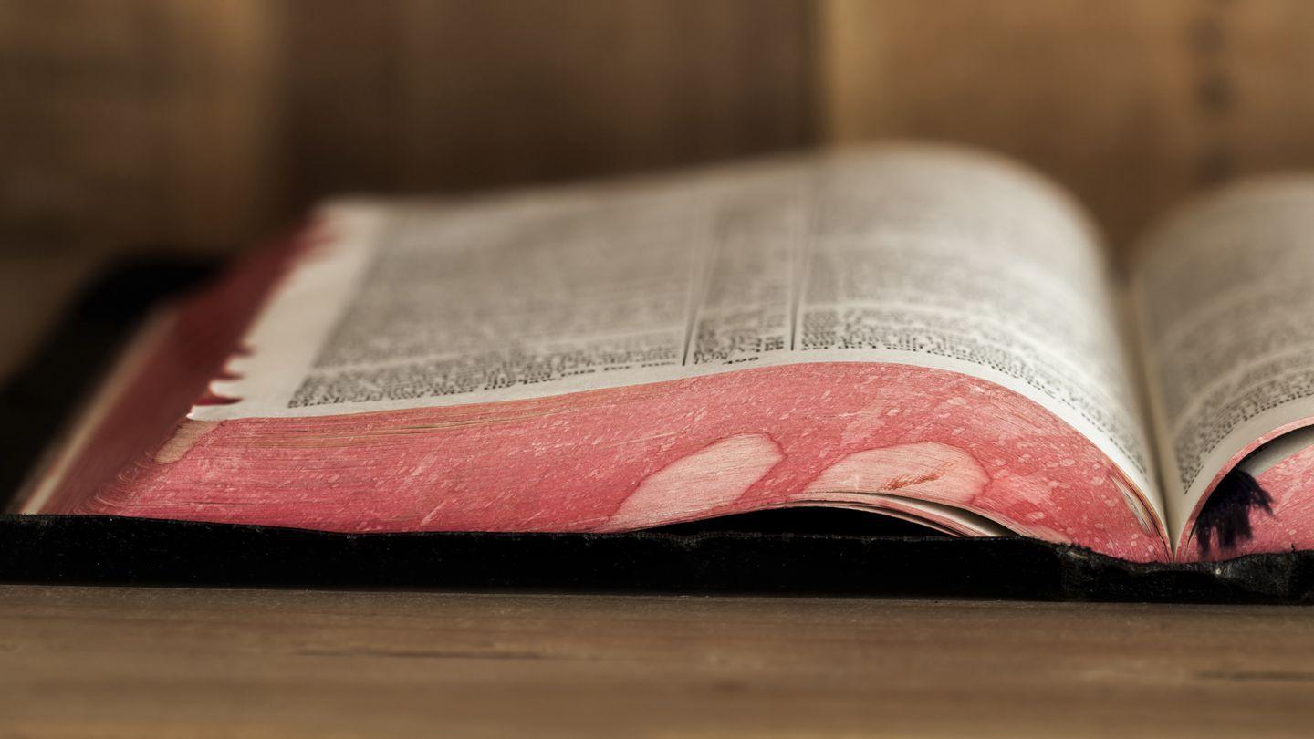 The Bible in a Year