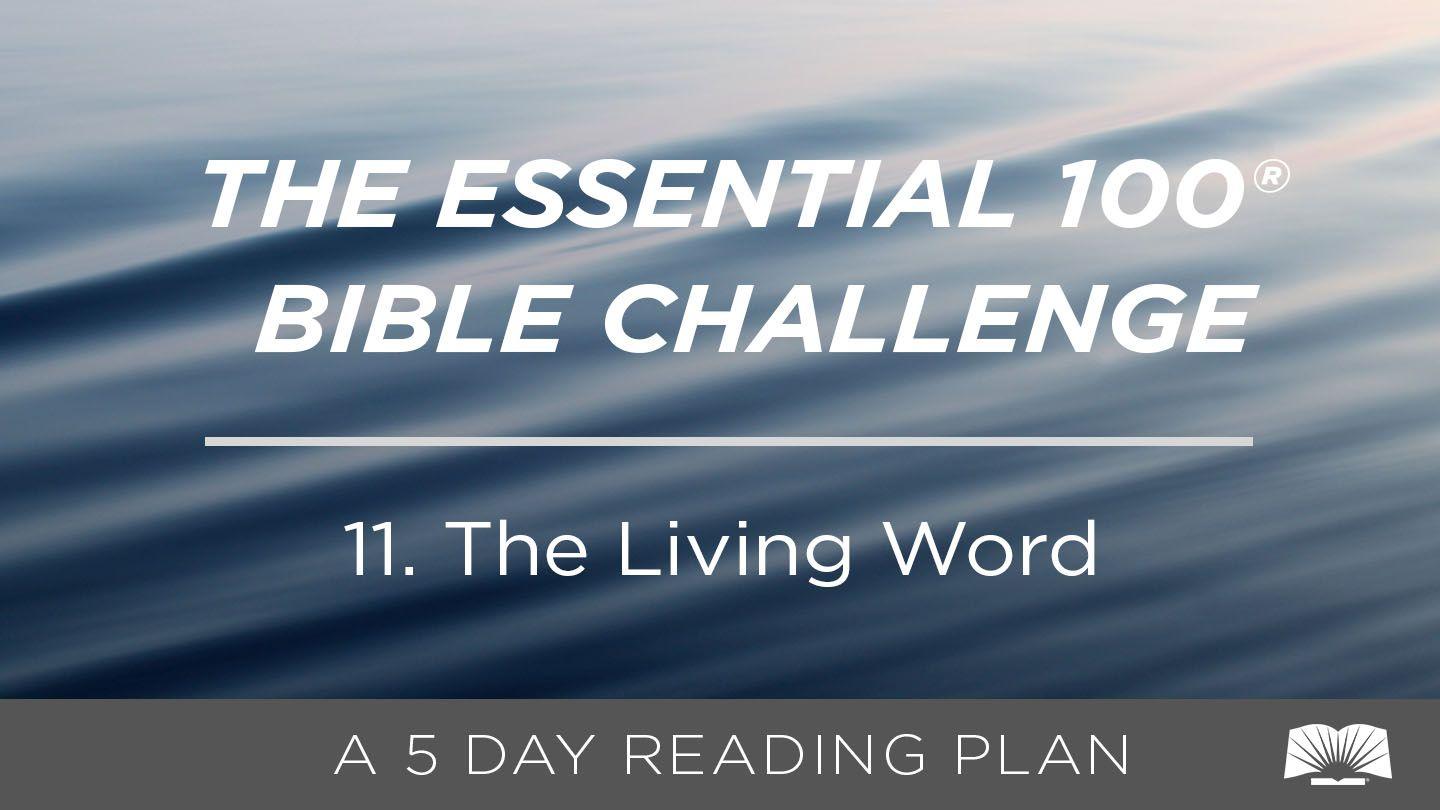 The Essential 100® Bible Challenge–11–The Living Word San Mateo 4:17 Zapotec, Quioquitani-Quierí