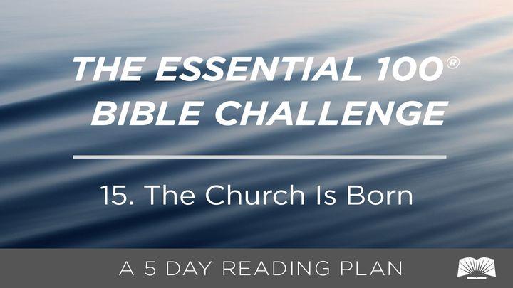 The Essential 100® Bible Challenge–15–The Church Is Born