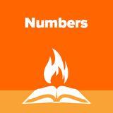 Numbers Explained Part 3 | Follow Whole-Hearted