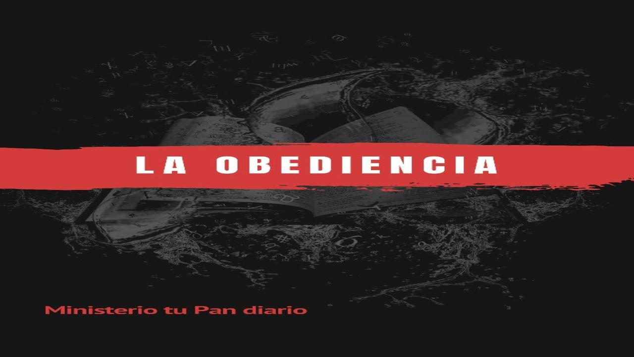 La obediencia.