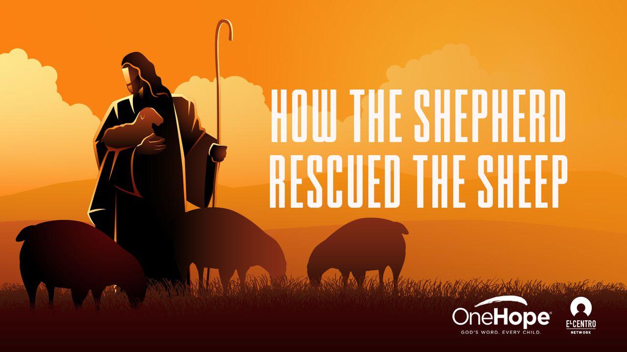 How The Shepherd Rescued The Sheep