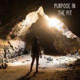 Purpose In The Pit