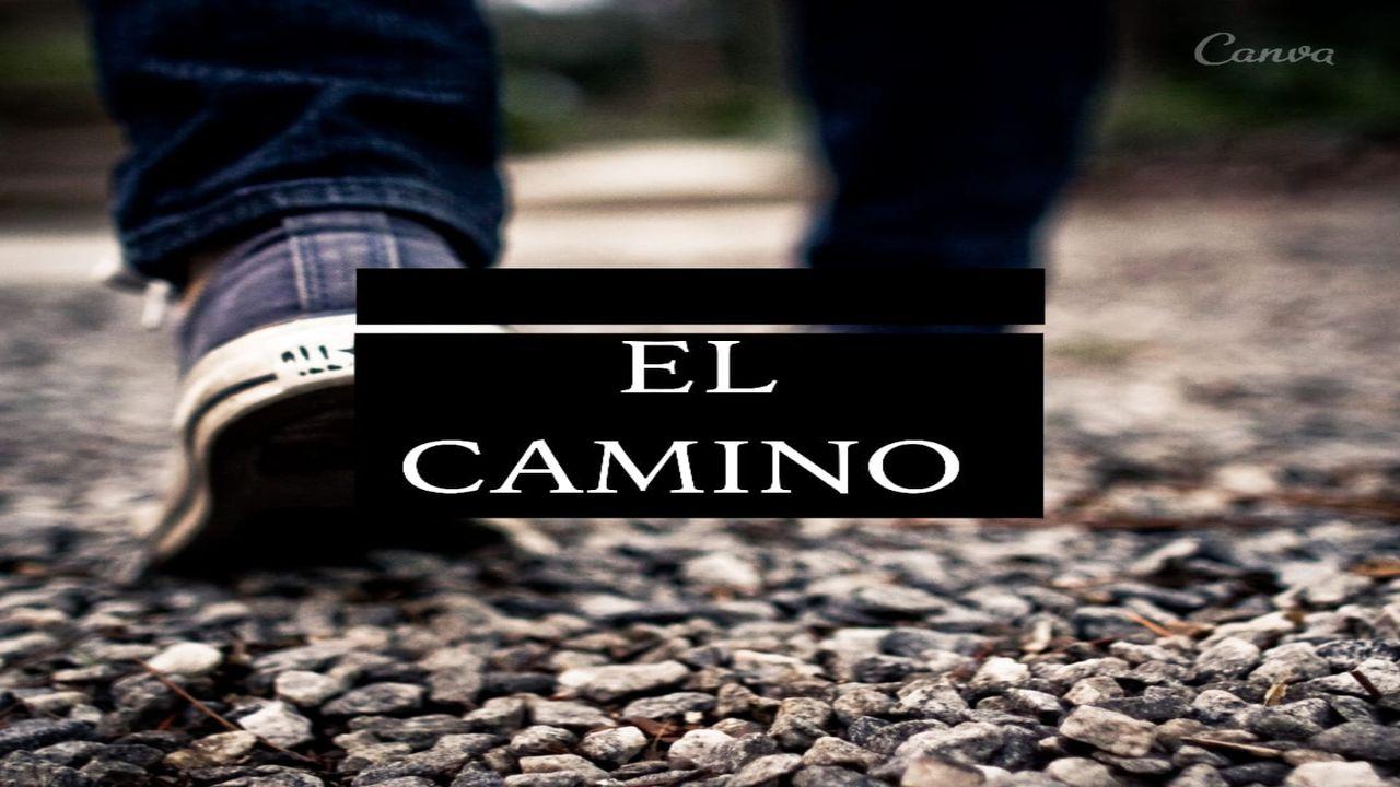 El Camino.