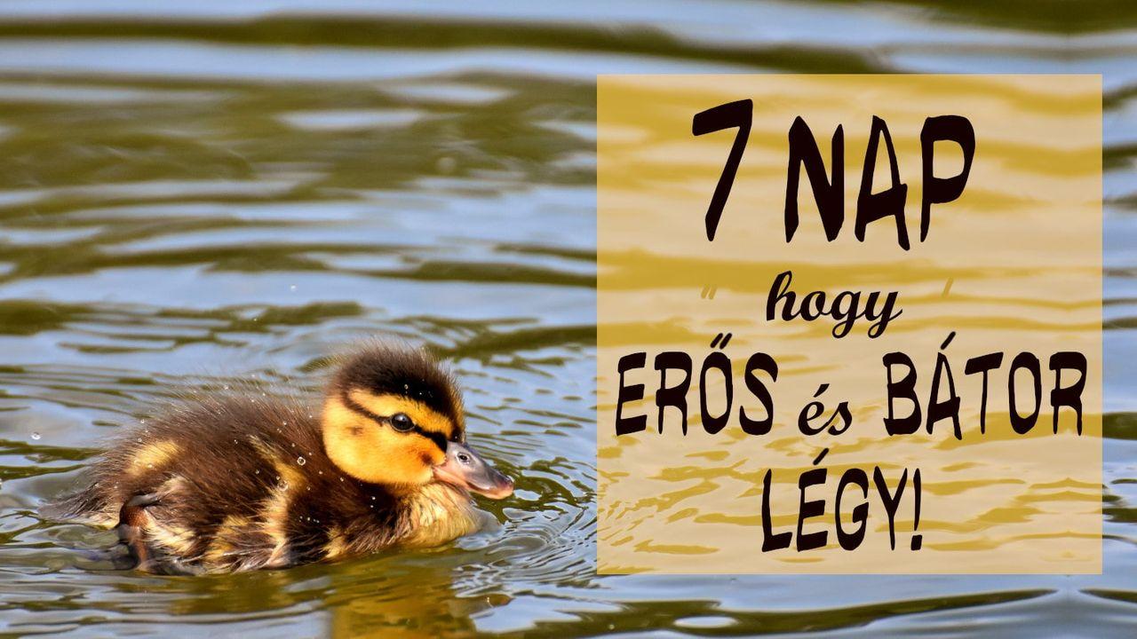 7 Nap, Hogy Erős És Bátor Légy