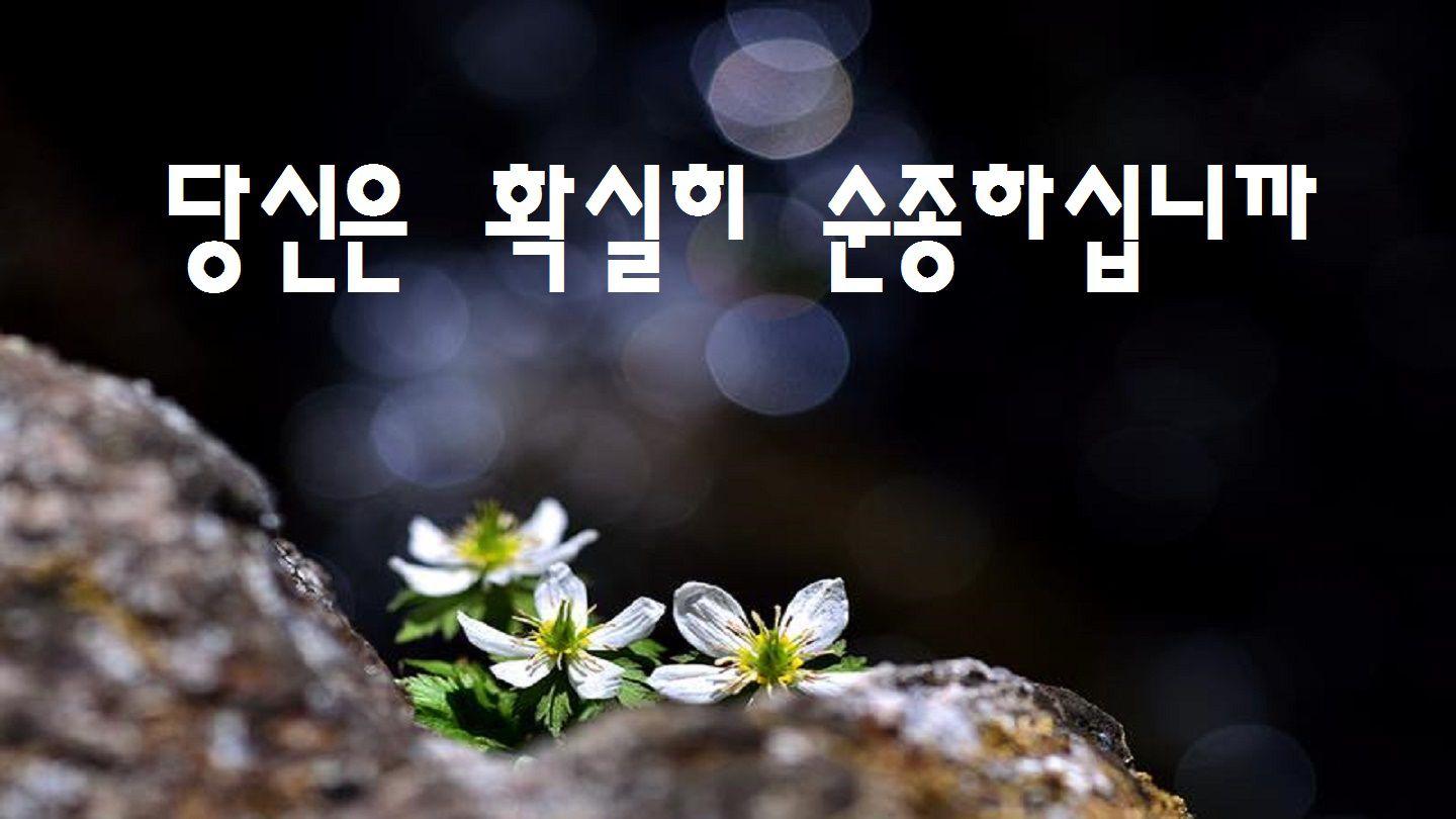 당신은 확실히 순종하십니까 James 3:1-2 New English Translation