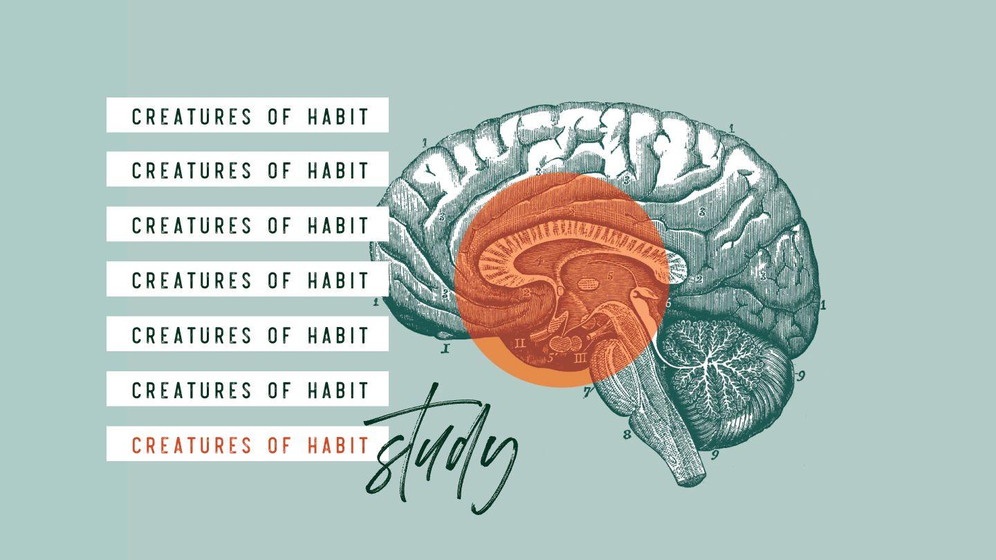 Creatures Of Habit: Study  DIPOLELO 11:18 BIBELE