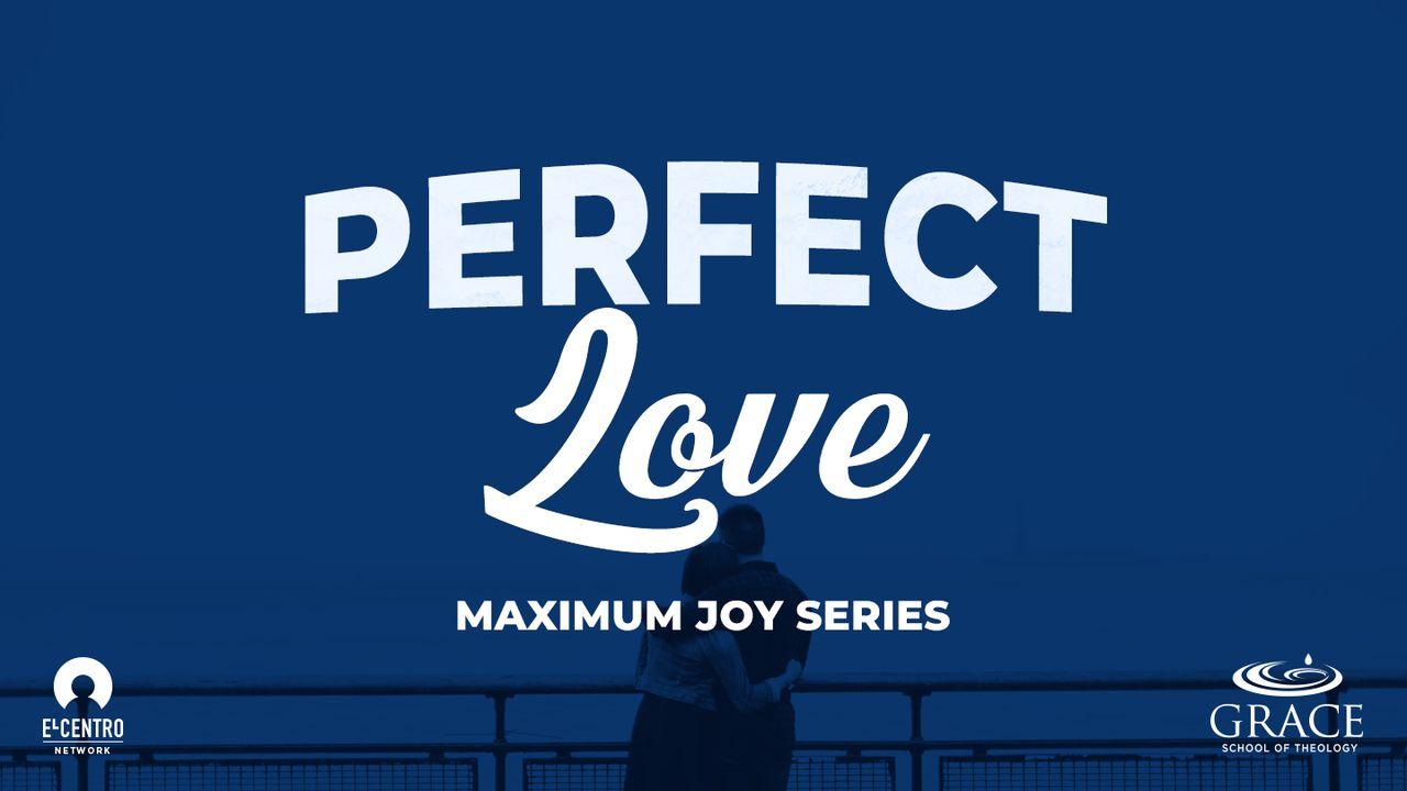 [Maximum Joy Series] Perfect Love