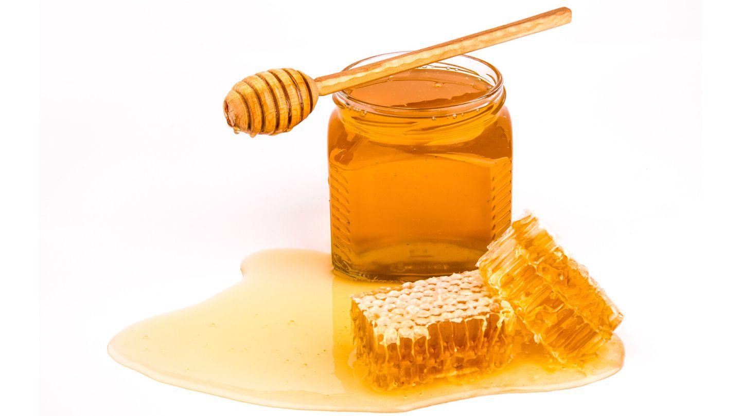 Honey Money from Heaven Ezekiel 3:3 American Standard Version