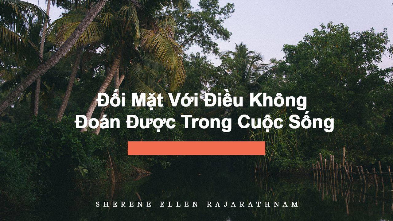 Đối Mặt Với Điều Không Đoán Được Trong Cuộc Sống