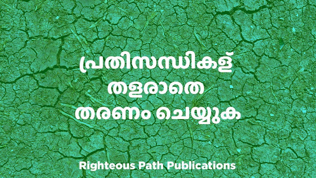 പ്രതിസന്ധികള്‍ തളരാതെ തരണം ചെയ്യുക