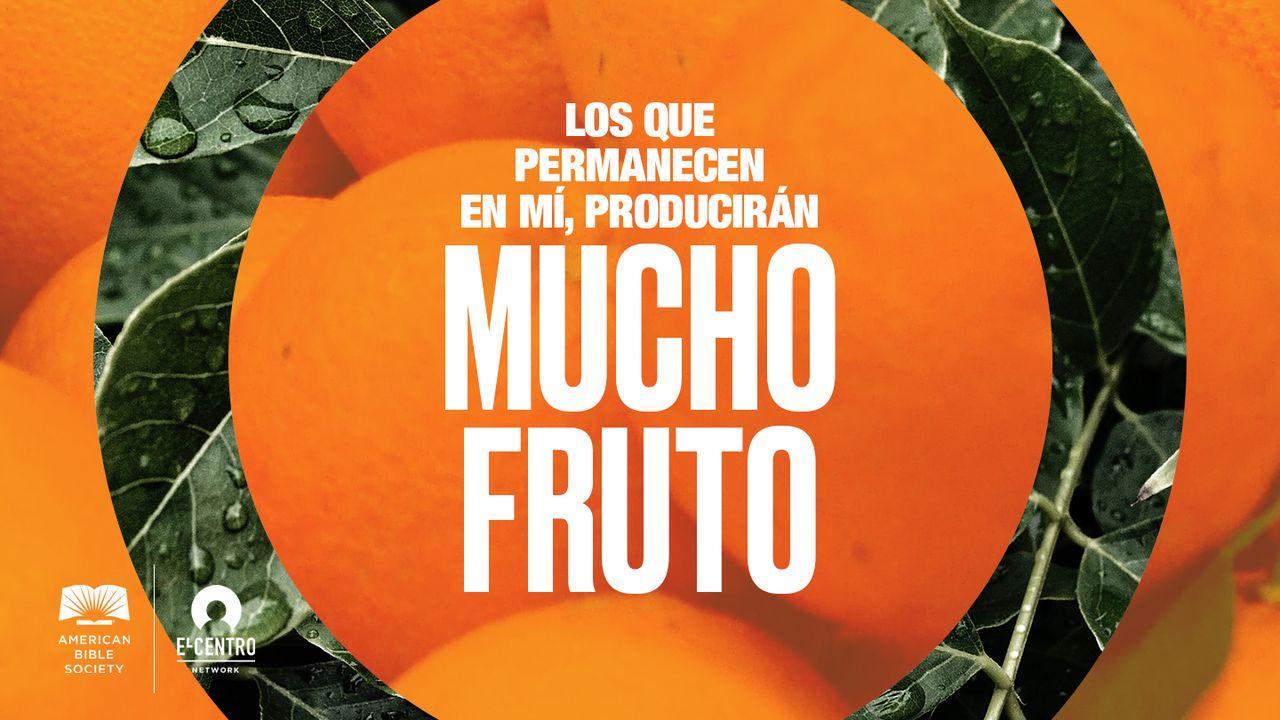 Los que permanecen en mí, producirán mucho fruto 