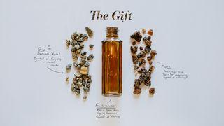 The Gift