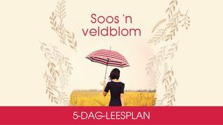 Soos ’n veldbom deur Struik Christian Media